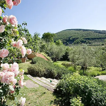 Casavaliversi * Sesto Fiorentino